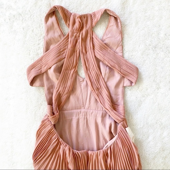 Fame and Partners V neck Open Back Pleated Gown in Mauve Pink - Picture 9 of 14